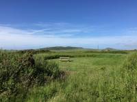 Dunes at Whitesands Camping, St Davids