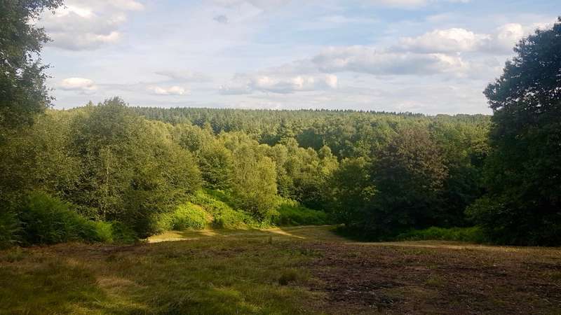 Valley View Double Pitch