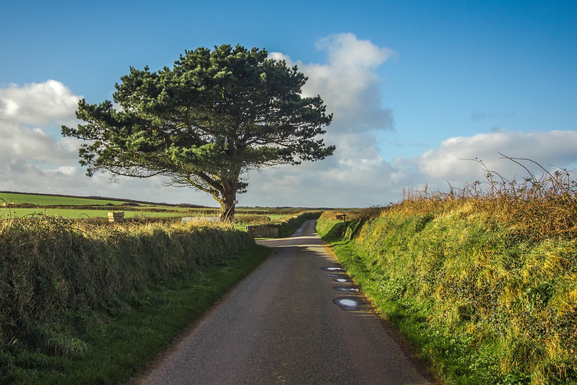 Llandeilo Camping | Campsites in Llandeilo, Carmarthenshire