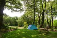 Grass Pitch