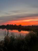 Hard-standing Super Pitch