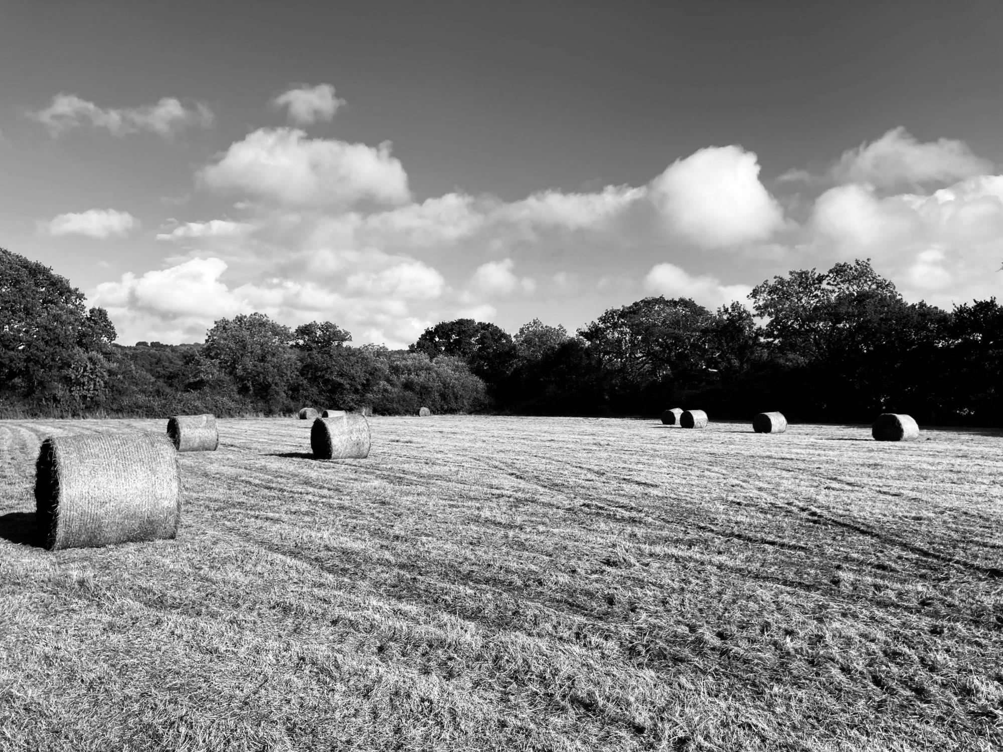 Campsites in Sherborne – Cool Camping