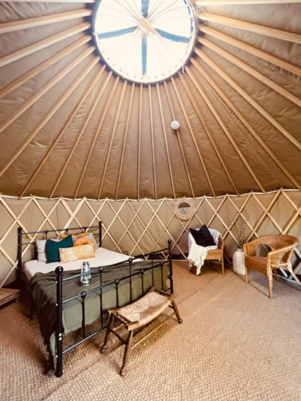 Ragwort Yurt