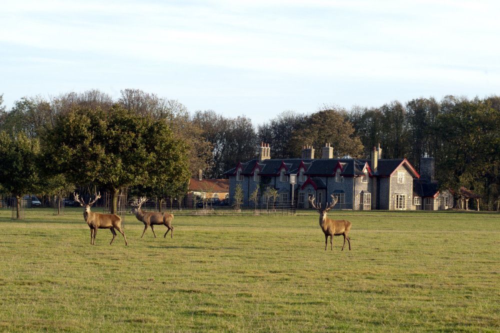 Gunton Arms, Norfolk