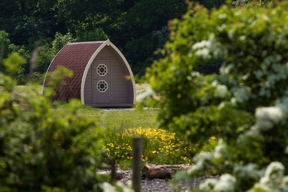 Glamping Pods – The Best Pod Glamping Sites – Cool Camping