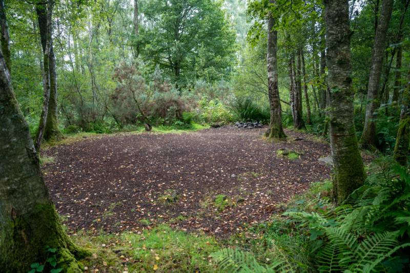 Woodland Tent Pitch 9 (3.5m x 3.5m)