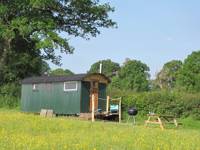 Anderida Shepherds Hut