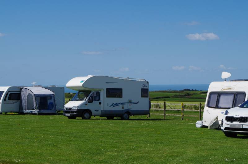 Large Grass Electric