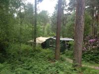 Woodland Tent