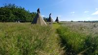 Tipi Amitola