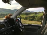 Alejandro - VW T6 Transporter