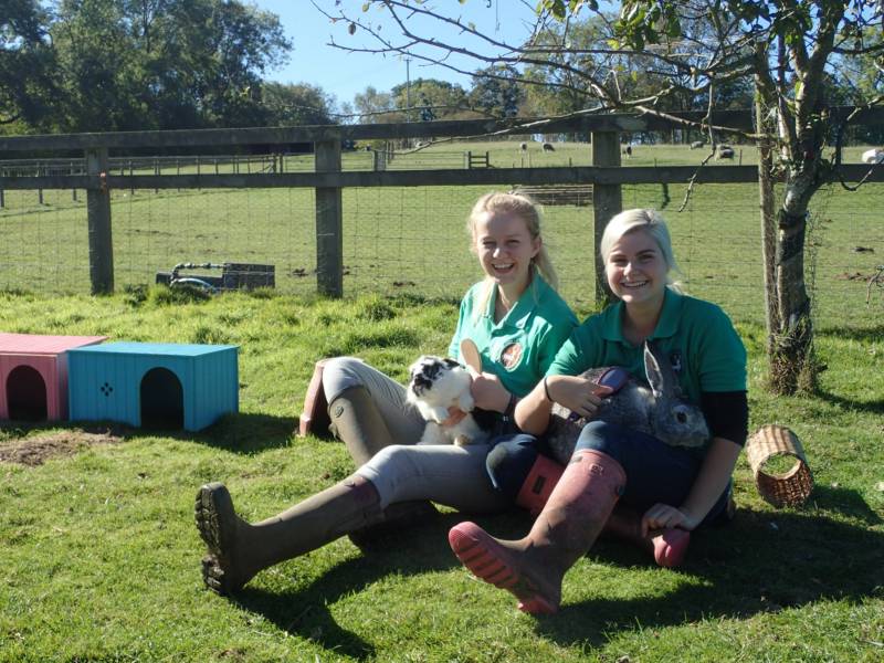 Campsites In The Wessex Downs Area Of Outstanding Natural Beauty