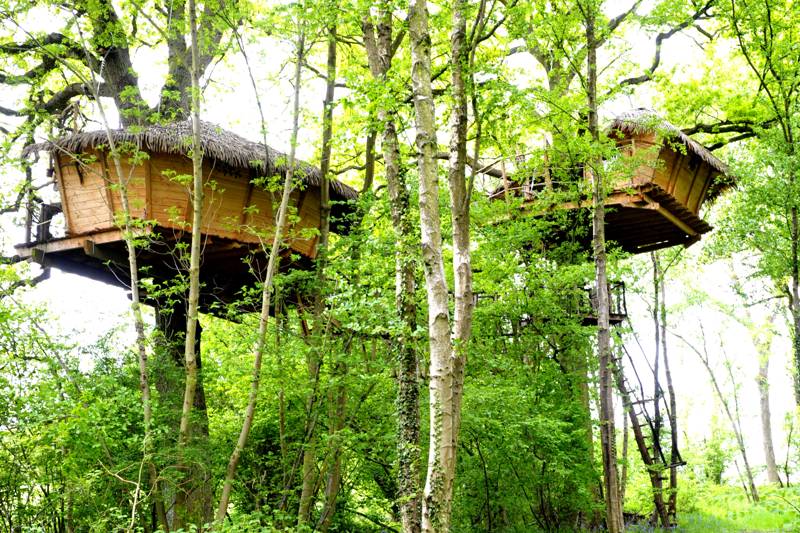 Treehouse glamping in a Normandy woodland