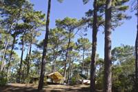 The Classic IV Wood & Canvas Tent