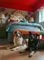 The Twitcher - Luxury Dog Friendly Cabin