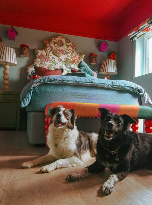 The Twitcher - Luxury Dog-Friendly Cabin