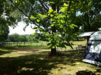 (RT) Rental Tent