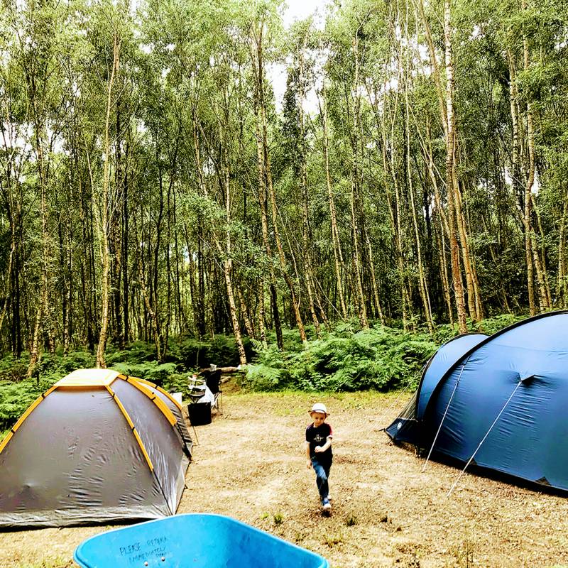 Double Forest Tent Pitch