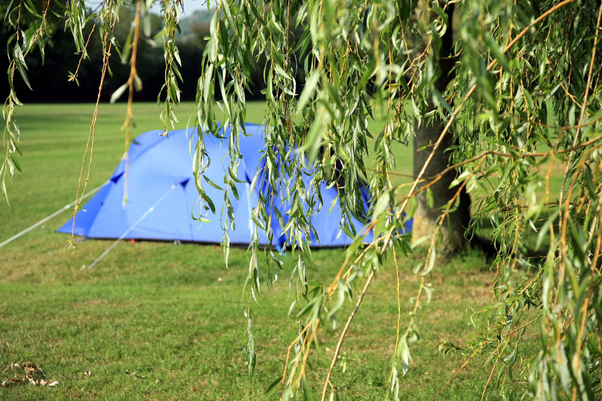 Greenacres Camping, Glastonbury