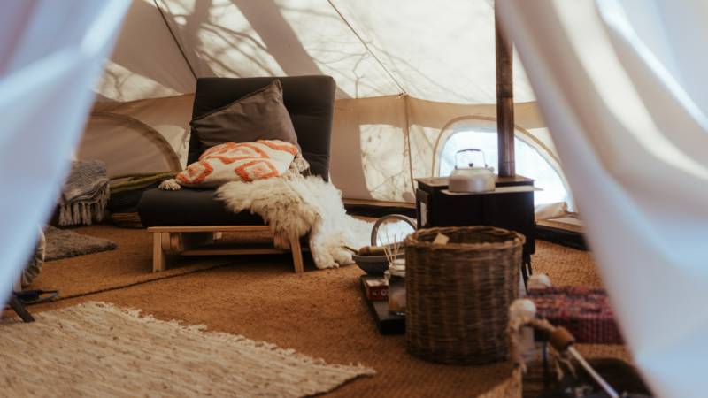 Cuddfan Bach - The Little Hideaway