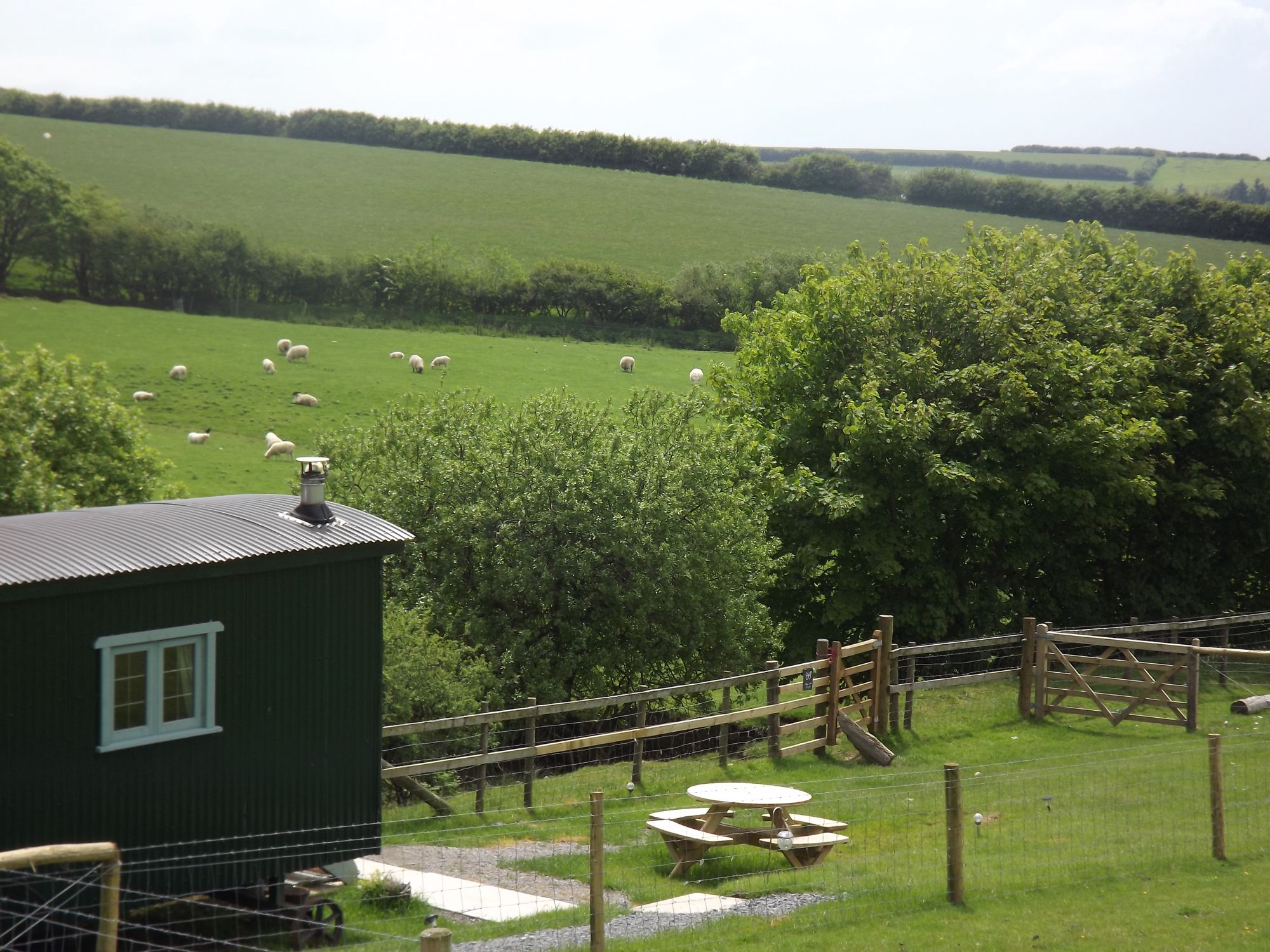 Shepherd's Huts in Devon