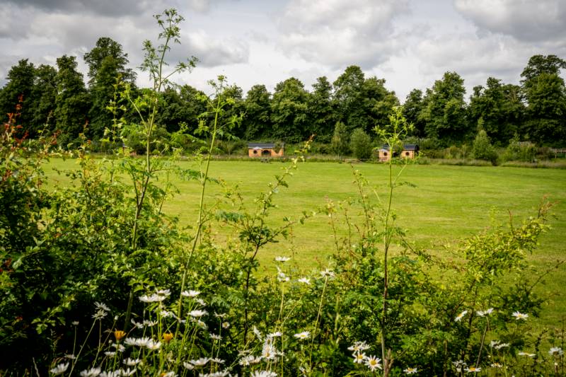Upper Meadow TENT pitch (vehicle free field)
