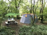 Bramble Woodland Pitch