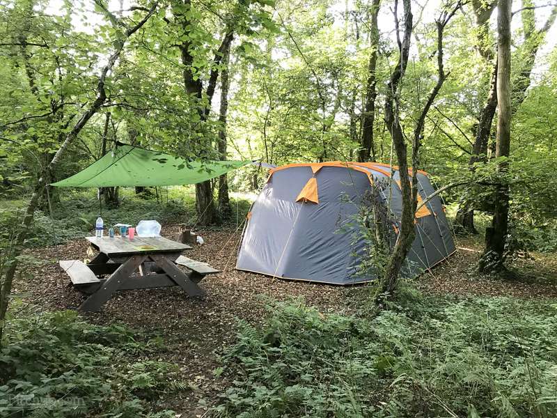 Bramble Woodland Pitch