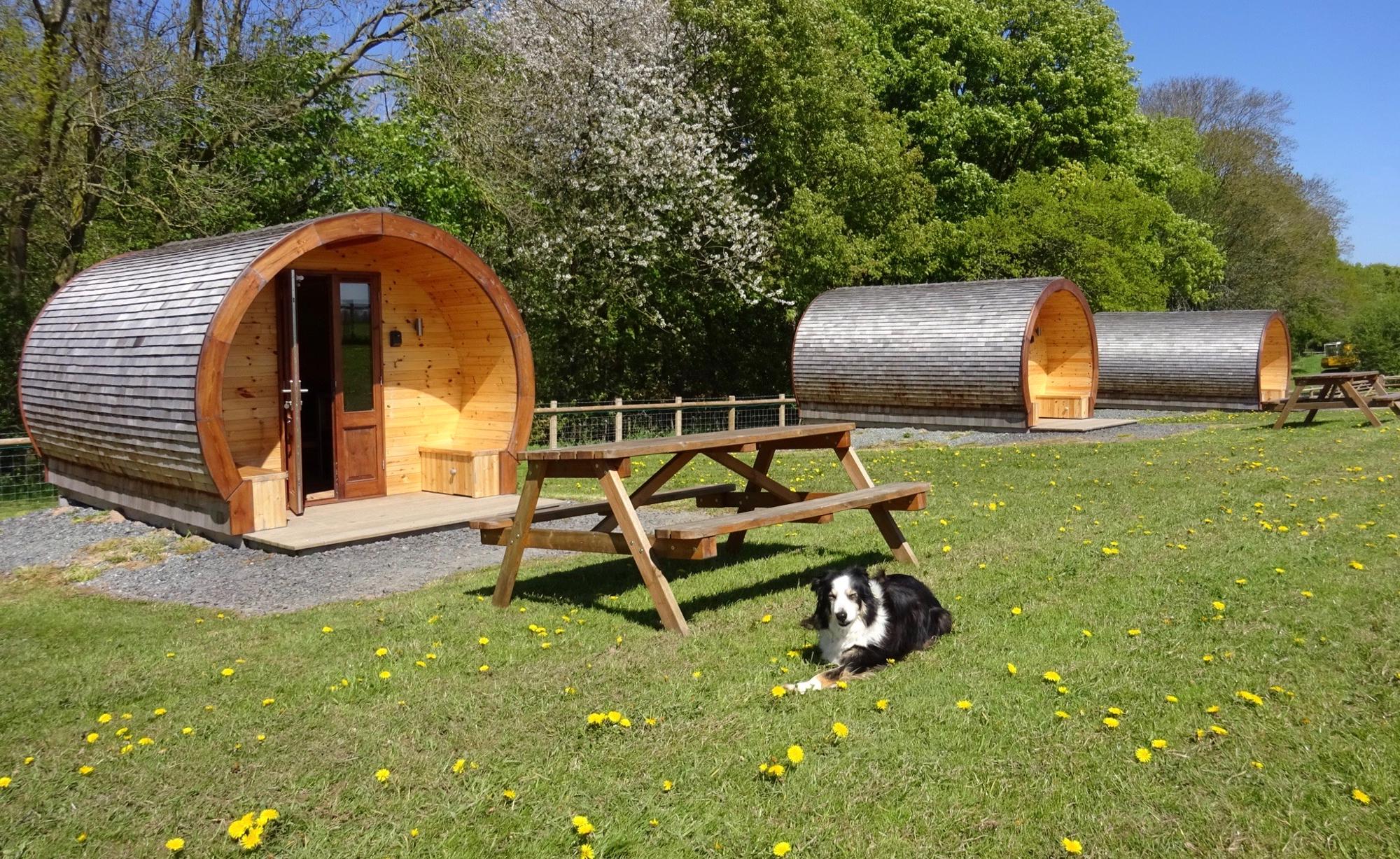 Campsites in Oswestry holidays at Cool Camping