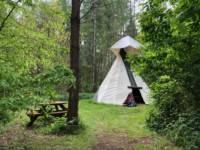 Robin Tipi