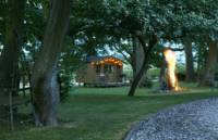 Elm Cabin