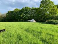 Whole Site