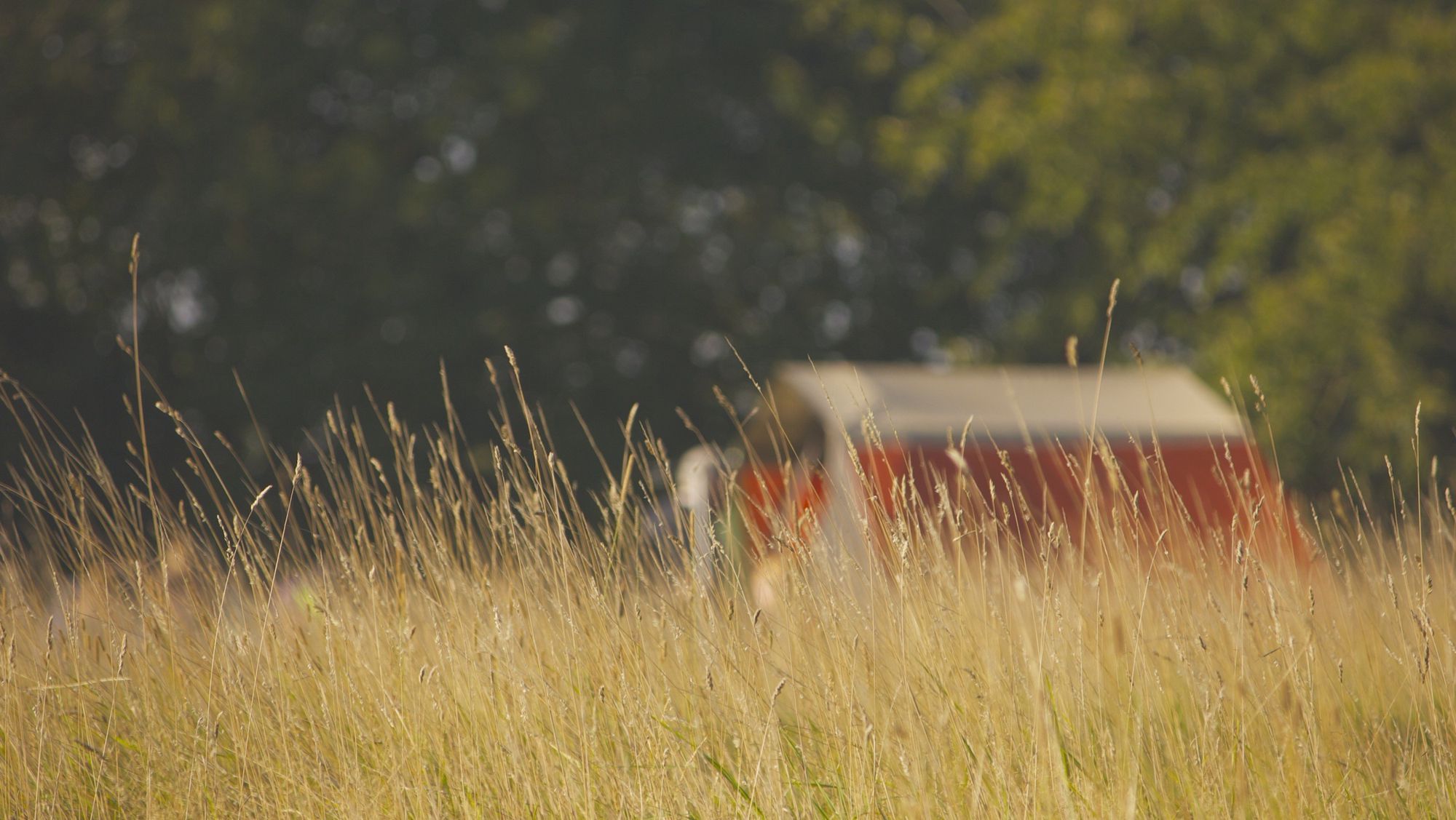 Campsites With Social<br>Distancing Measures