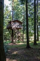 "Marmotte" Marmot Tree House