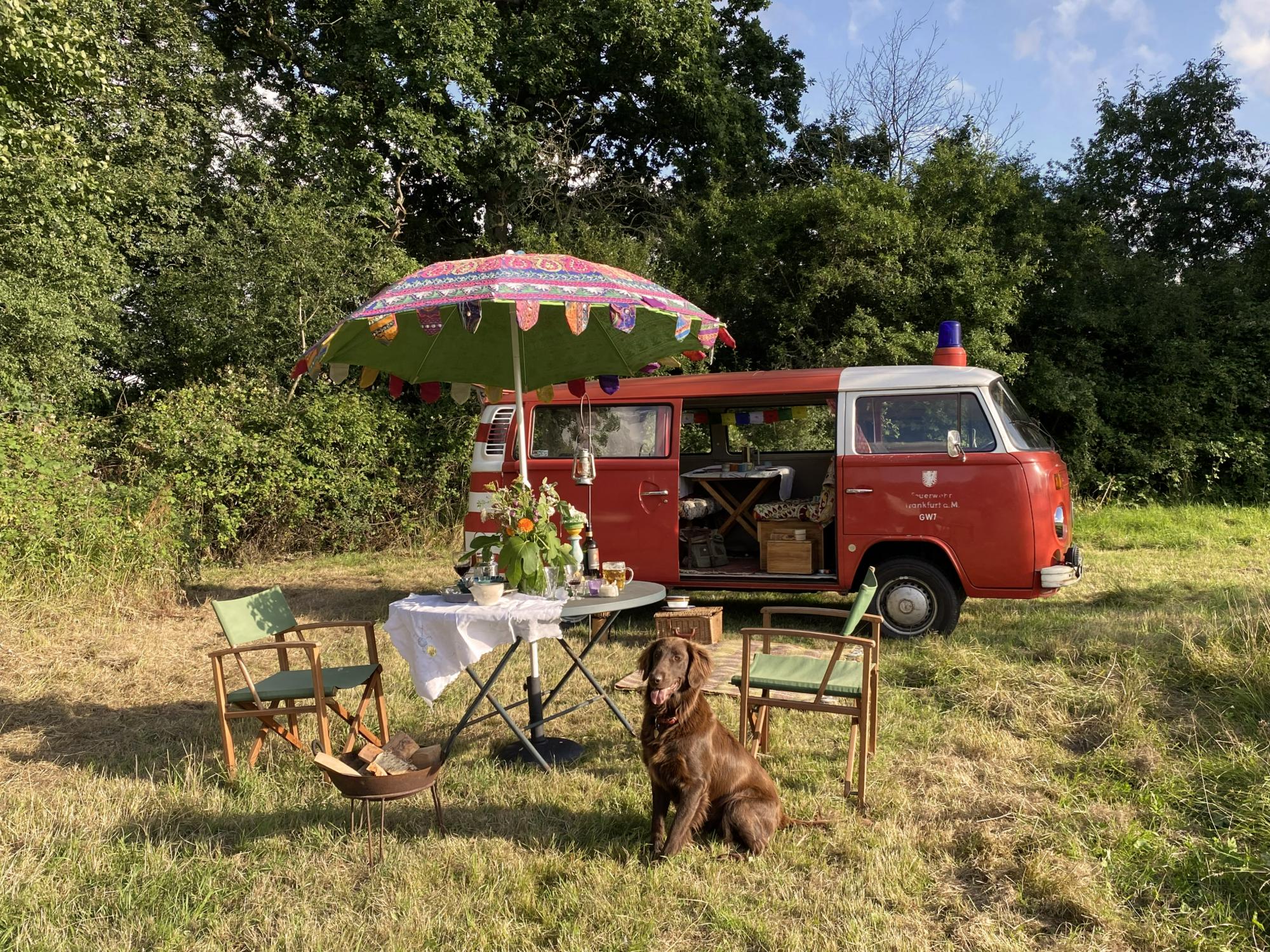 Campsites in South West England – Glampingly