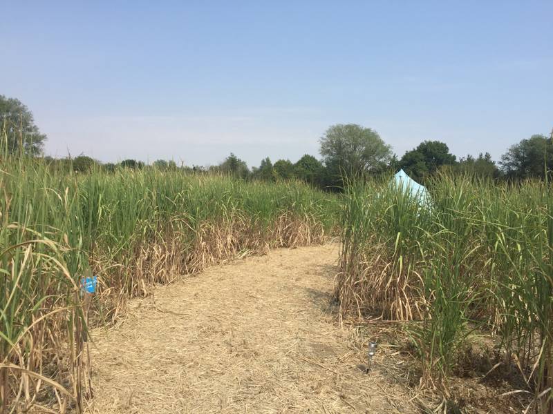 C10 Members Grass Pitch (non-elec)