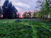 Double Woodland Meadow Pitch