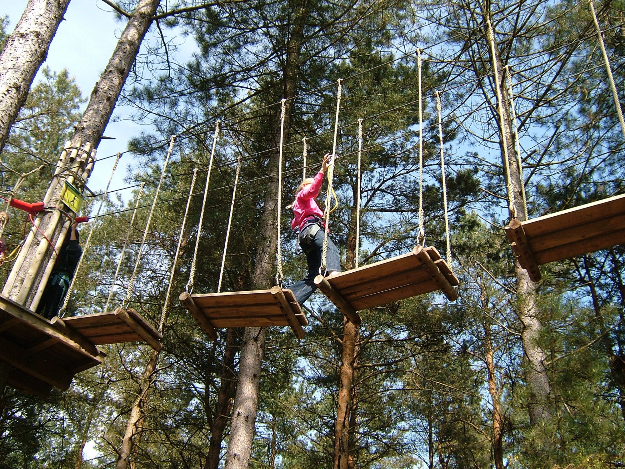 Go Ape