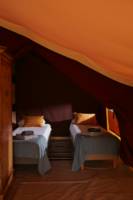 Safari Tent