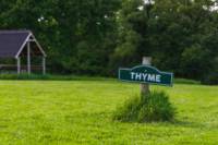 Thyme - Ensuite Grass Pitch