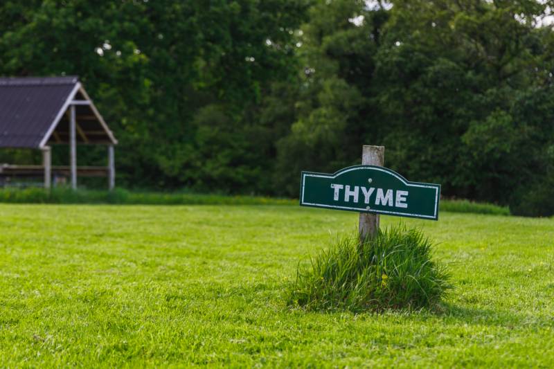Thyme - Ensuite Grass Pitch