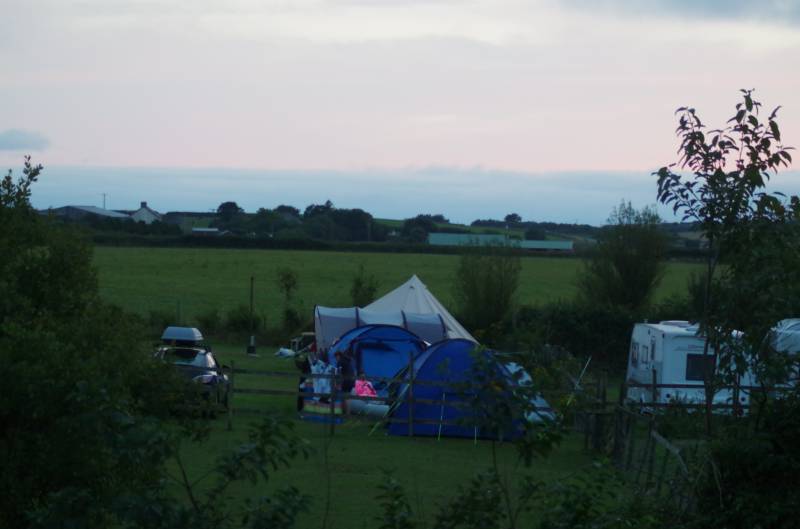 Summer Large Grass Pitch