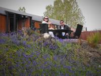 The Bluebell
