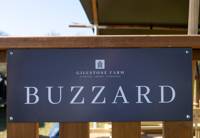 Buzzard Lodge