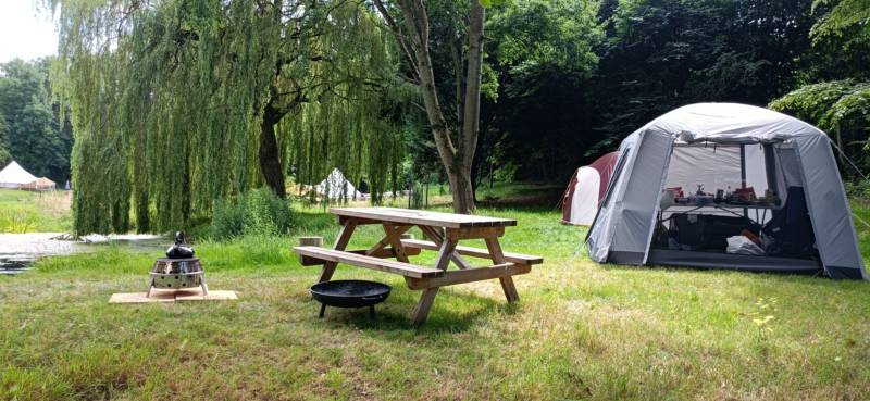 Willow View - Nearly-wild, woodland pitch