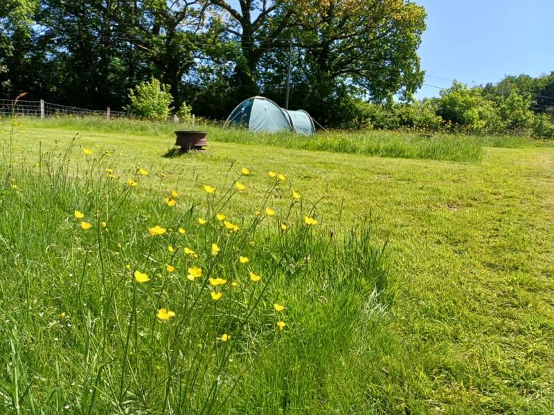 PERSEUS (Tent Pitch)