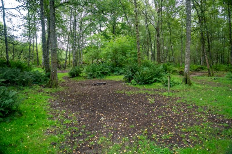 Woodland Tent Pitch 6 (3.5m x 3.5m)