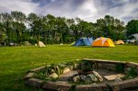 Grass Tent Camping Pitch