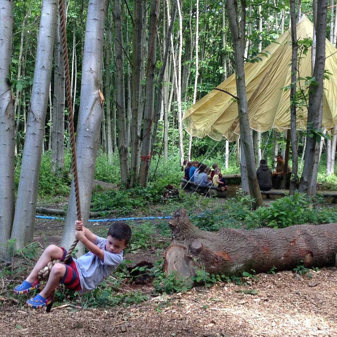 Badgells Wood Camping, Kent