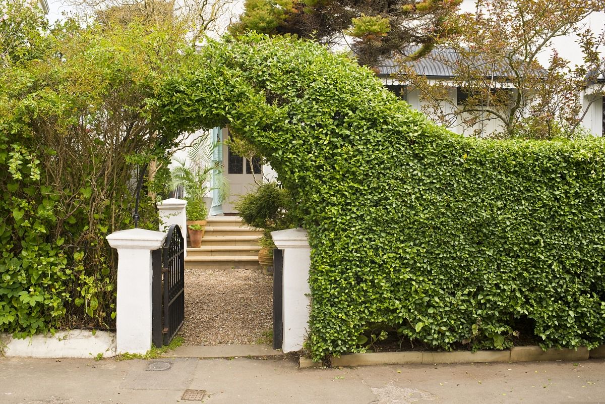 No. 5 The Lawn, East Sussex